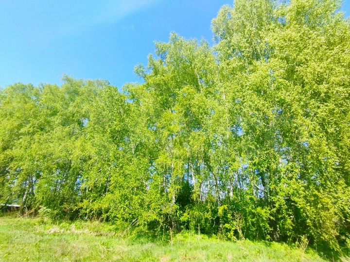 Участок 10 сот. (ИЖС)