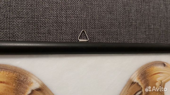 Бабочка в раме. Atlas Moth. новое