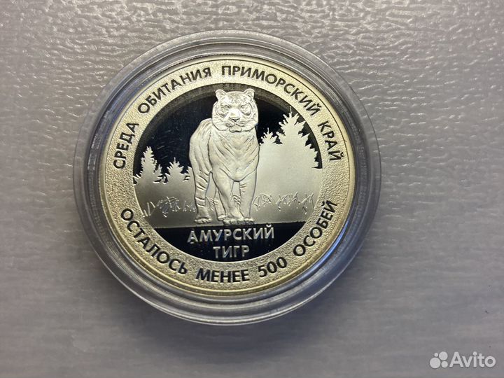 Красная книга России, Амурский тигр, Остал