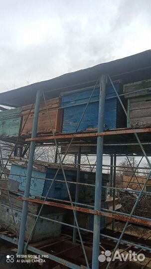 Улья лежаки