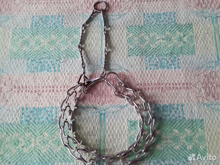 Ошейник строгий