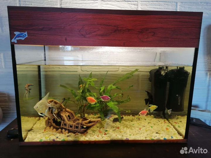 Аквариум с рыбками