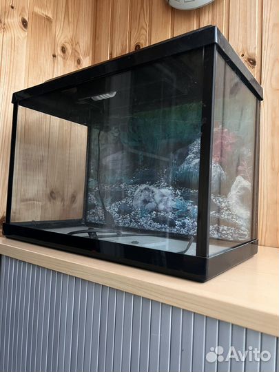Аквариум