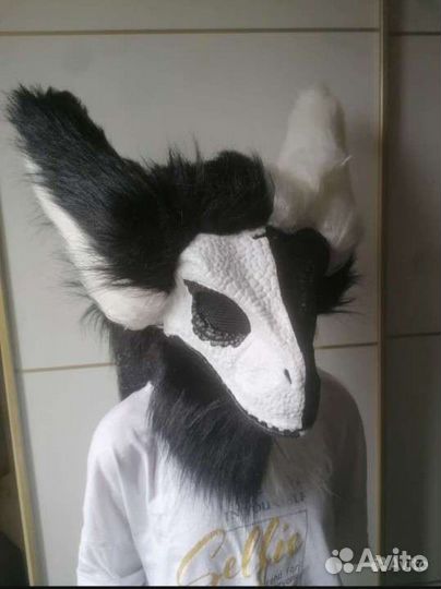 Офурение раптора