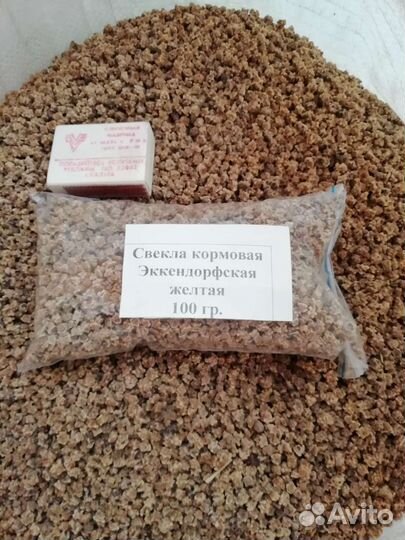 Семена кормовой свёклы Эккендорфская Лада Бригадир
