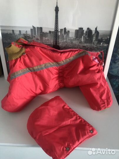 Комбинезон для собаки