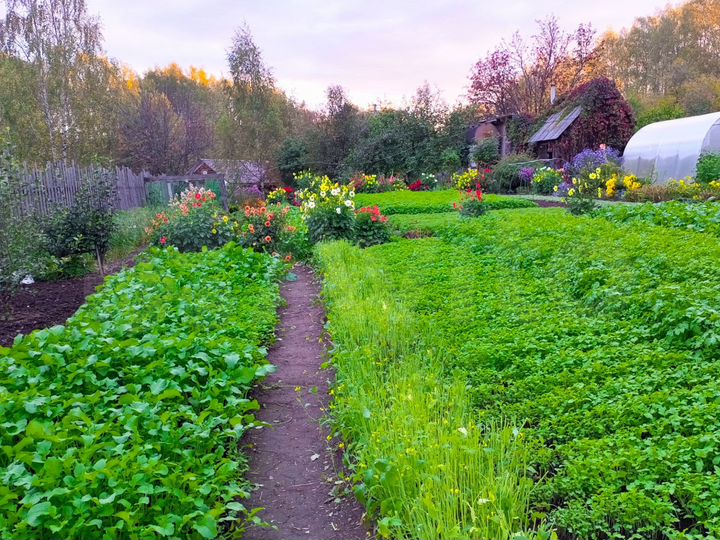 Участок 10 сот. (СНТ, ДНП)