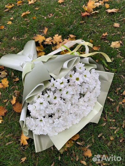 Хризантема,букет цветы хризантема с доставкой