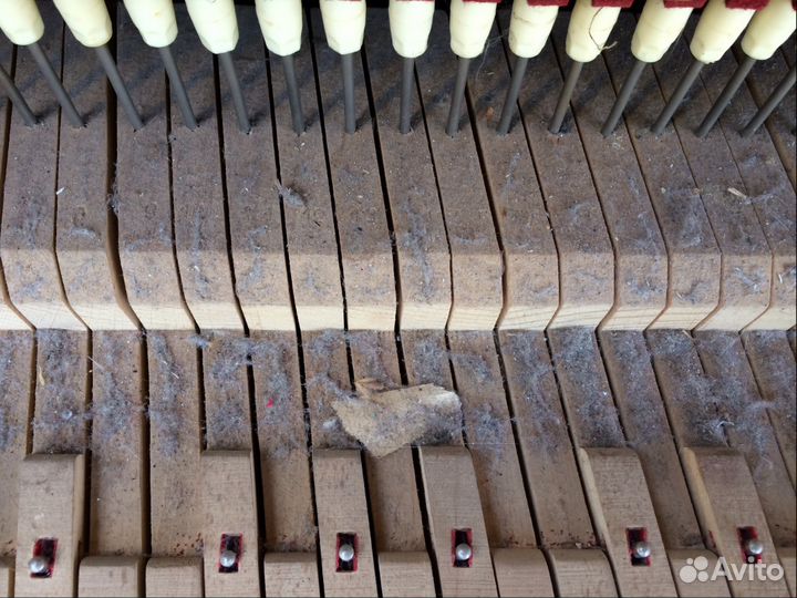 Настройщик, Настройка фортепиано, пианино, рояля