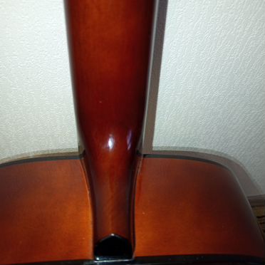 12 ти струнная акустическая гитара Perl River