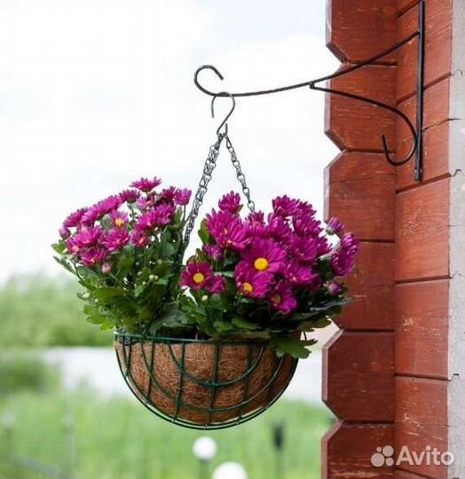 Новое Кашпо