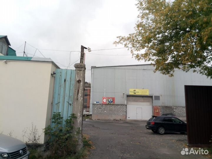 Замороженные корма для рыб. Мотыль и другие