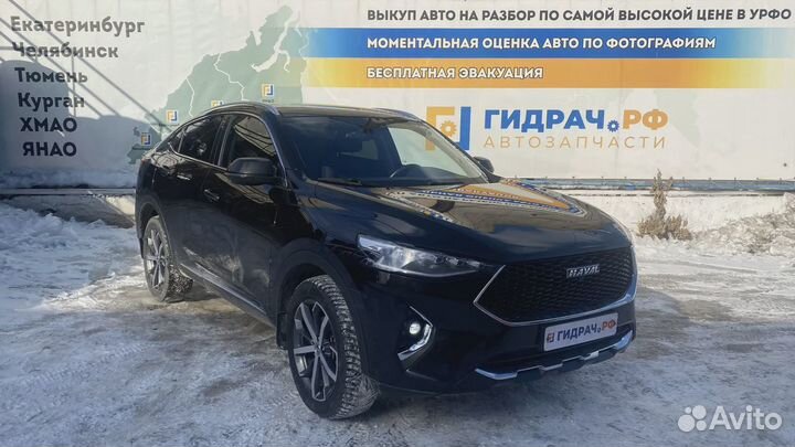 Накладка двери задней правой Haval F7x 25500109XKQ02A