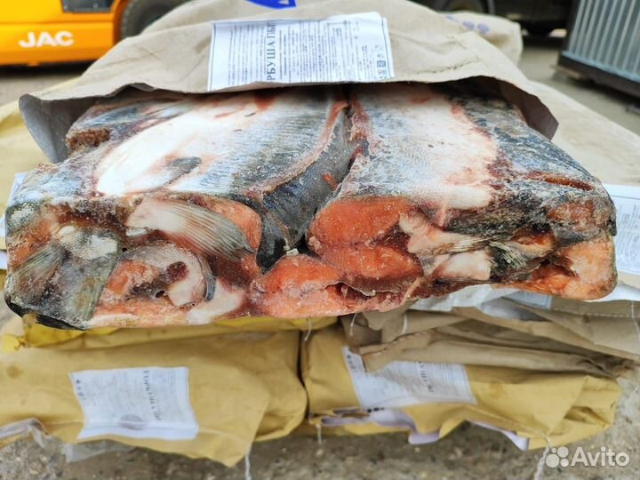 Горбуша свежего улова