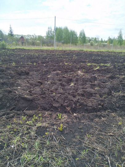 Участок 16 сот. (СНТ, ДНП)