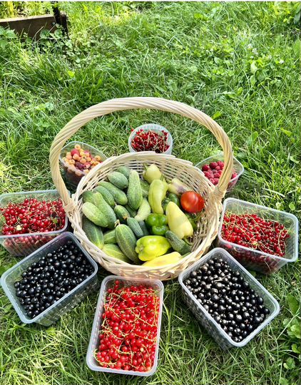 Дача 30 м² на участке 6 сот.