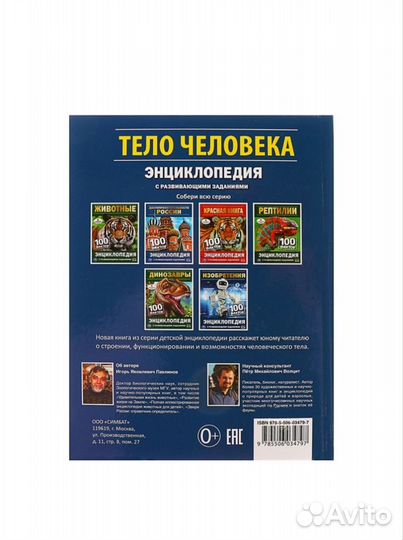 Анатомия тело человека