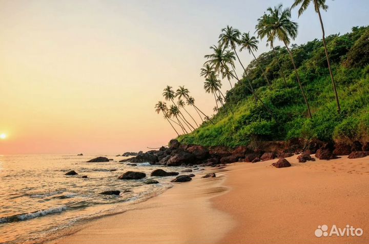 Путешествие на гоа на 9 н самолет + отель