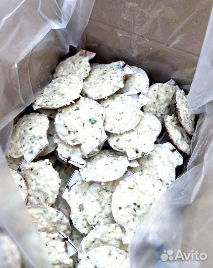 Оптом Гребешок и Мидии для запекания