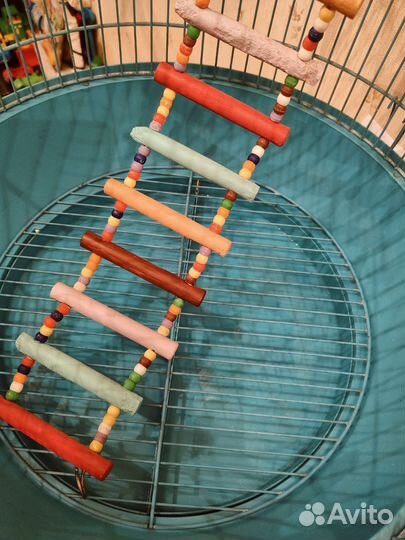 Большая клетка для птиц