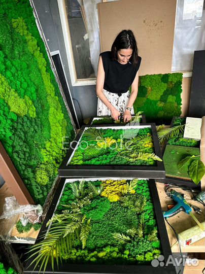 Композиция со мхом и растениями с белой подсветкой