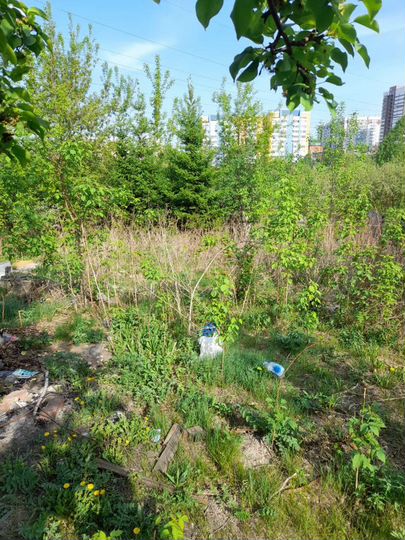 Участок 5,4 сот. (СНТ, ДНП)