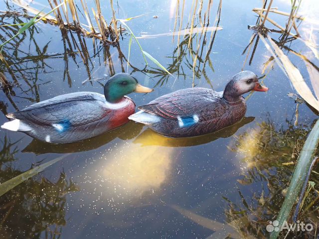 Чучела уток для охоты кряква