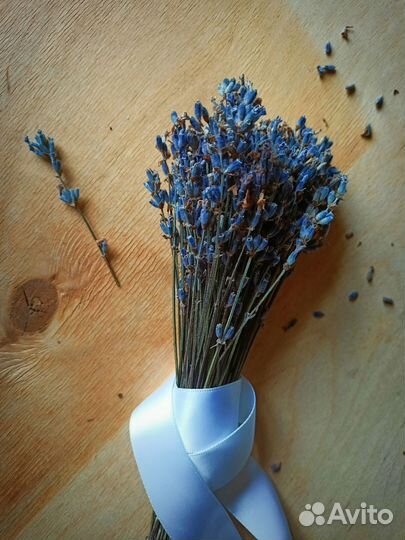 Лаванда сухоцвет