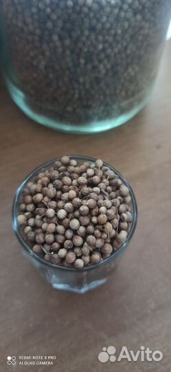 Укроп, кинза, петрушка- семена