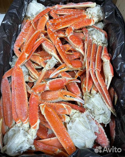 Конечности краба