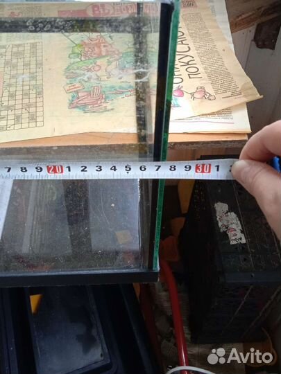 Аквариум с фильмом