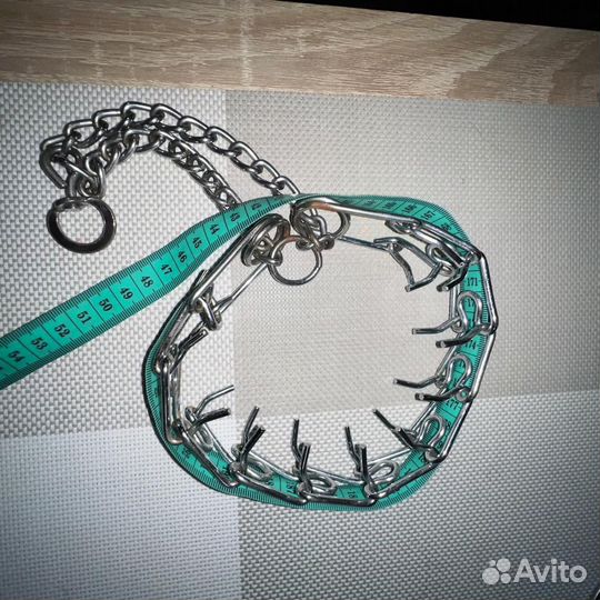 Строгий ошеник для собак