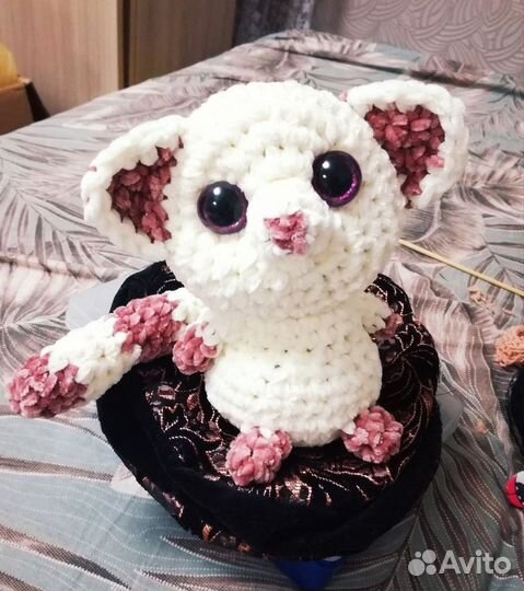 Лемур Белиз