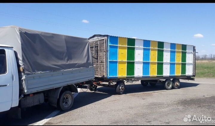 Продам пчёл, пчелопакеты