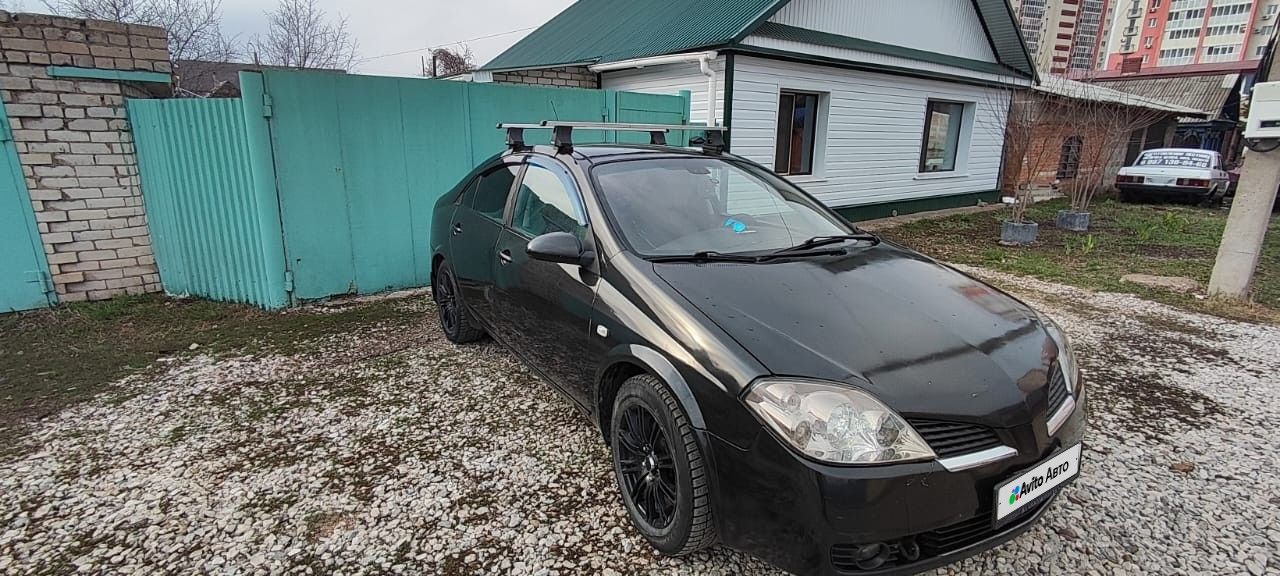 Nissan Primera: фото владельца