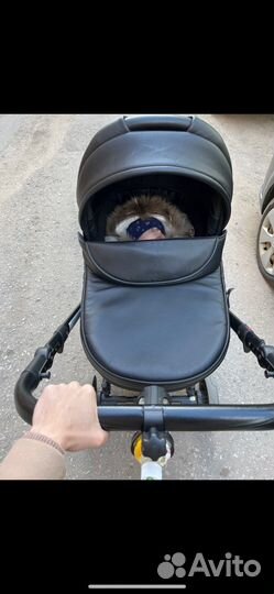 Коляска anex cross 3 в 1 черная