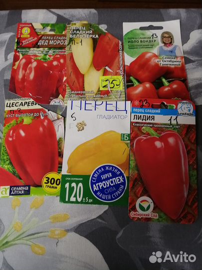 Продам рассаду перца и баклажан