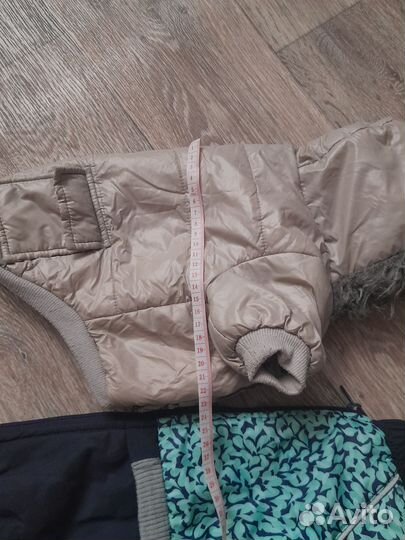 Одежда для средних собак