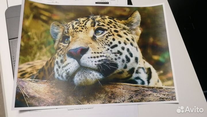 Цветной лазерный принтер HP 252 n как новый