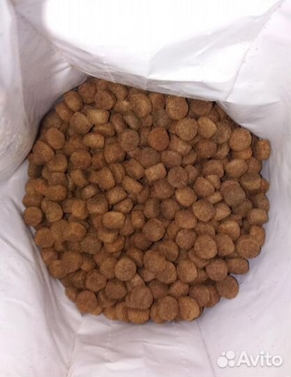 Сухой корм для собак