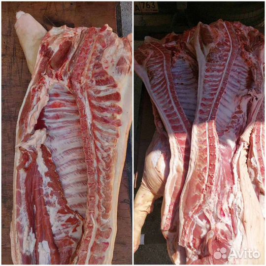 Продаю мясо свинины
