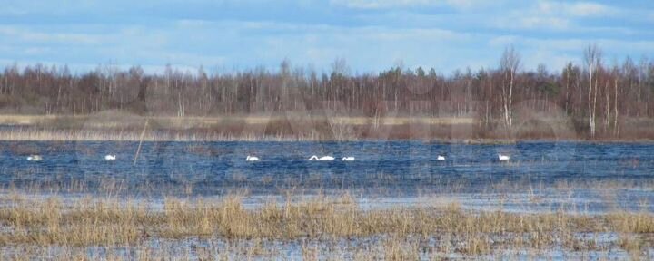 Участок 10 сот. (ИЖС)