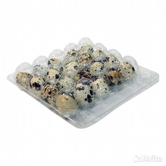 Упаковка для перепелиных яиц 20