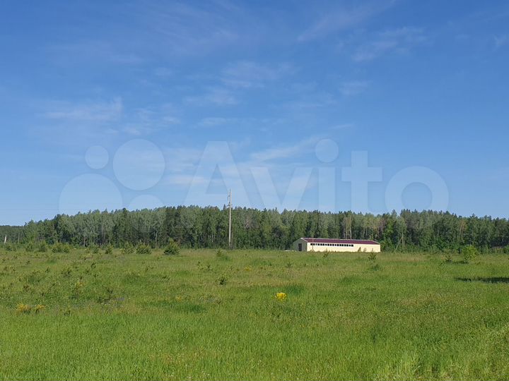 Пищевое производство