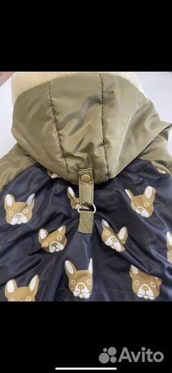 Комбинезон для собаки