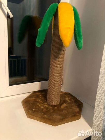 Когтеточка