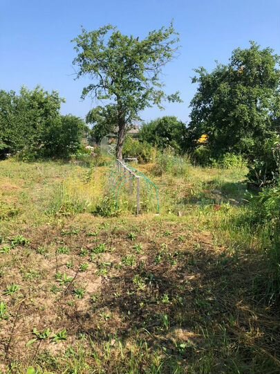 Участок 4,5 сот. (СНТ, ДНП)