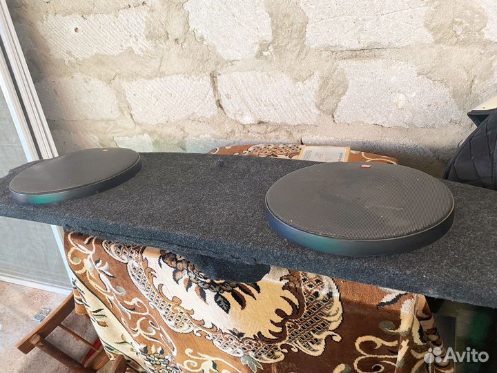 Динамики 25см