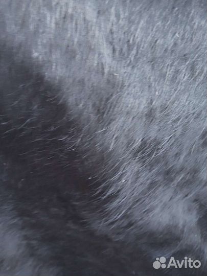 Шкура коровья