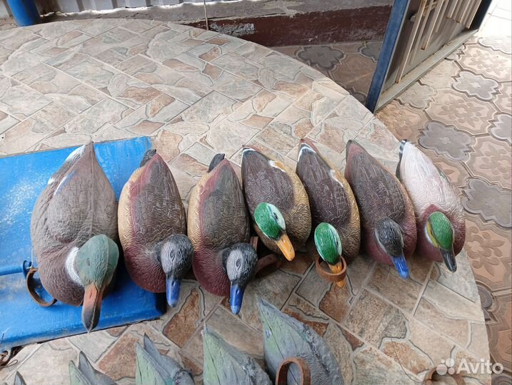 Подсадные утки